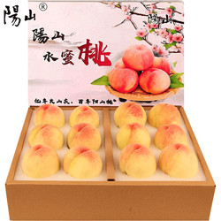 阳山水蜜桃 单果4-5两 12个礼盒装