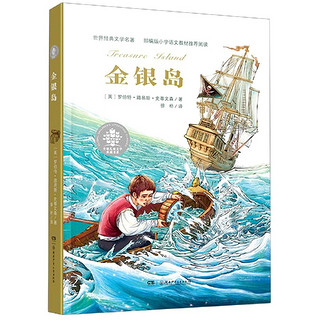 《全球儿童文学典藏书系·金银岛》（新版）