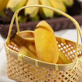 桃小蒙小胖蕉苹果蕉 福建土香蕉新鲜水果现摘当季 彩箱4.5-5斤1-2串