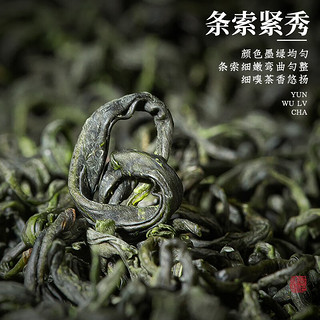 福茗源 FUMINGYUAN TEA 茶叶 云雾绿茶500g 2023新茶明前春茶花果香碧螺春毛尖浓香礼盒装