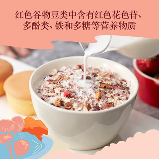 悠采 五红红豆草莓红藜麦红枣混合冲调果蔬燕麦片 360g