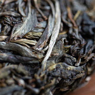 吉普号2023年春茶预售易武天花板高阶套装云南古树普洱茶生茶饼茶