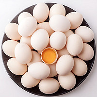 移动端：云依禾农庄 现捡散养初生蛋土鸡蛋新鲜鸡蛋柴鸡蛋 40枚装