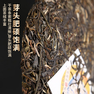 茶者（chazhe）2023年新茶上市普洱茶生茶冰岛暗香古树茶茶叶