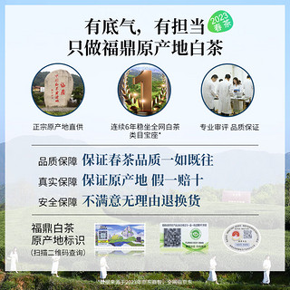 FRAGBANT TEA 馥益堂 福鼎白茶2023年花香白毫银针高山散茶500g收藏装 2023年 500g 1箱