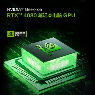  ThundeRobot/雷神 RTX40系独显 游戏本笔记本  酷睿i9-13900HX 无机械硬盘 2560*1600 橙色 240Hz 32GB 1TB RTX