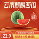  绿鲜集云南 麒麟西瓜 8424甜瓜 1粒装果约4-5斤　