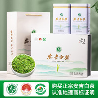 赛八仙2023新茶安吉白茶特级绿茶茶叶礼盒送礼高山春茶官方旗舰店