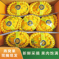 乡语小吖海南麒麟燕窝果 4斤精品礼盒装单果6-7两 麒麟果新鲜热带水果生鲜