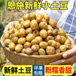 栗品优恩施小土豆 黄皮黄心马铃薯农家新鲜蔬菜 3斤