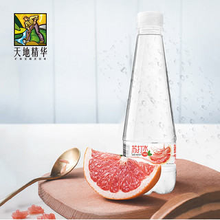 天地精华 果味苏打水0糖0脂0卡苏打水饮料多种口味410ml