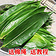 新鲜粽叶现摘 中号 宽约6-9厘米 30片