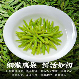 陈一凡2023新茶茶叶 乌牛早绿茶春茶 明前特级头采嫩芽金罐茶叶礼盒200g