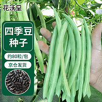 花沃里四季豆80粒/包 蔬菜种子盆栽阳台种菜土四季菜籽阳台/庭院田间种