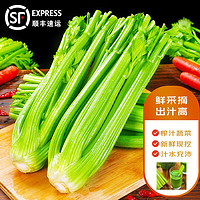 蔬香客西芹5斤 半叶芹菜榨汁蔬菜嫩心山东青菜