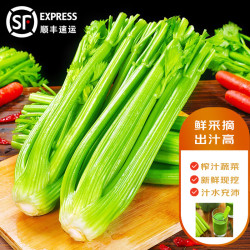 蔬香客 西芹5斤 半叶芹菜榨汁蔬菜嫩心山东青菜