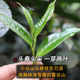 新益号普洱茶生茶饼2023春茶古300雷达山古树茶云南七子饼茶生普洱茶叶  7饼整提+送1片 2499克