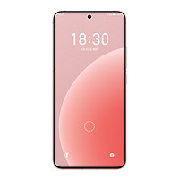 MEIZU 魅族 20 5G智能手机 12GB+256GB