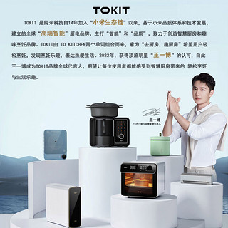 TOKIT果汁杯便携式榨汁机家用迷你无线户外充电迷你小型电动多功能料理机搅拌机奶昔随行杯水果杯家用杯 牛油果绿