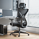 PLUS会员：HBADA 黑白调 E2 人体工学椅 标准款