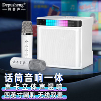 depusheng家庭ktv音响套装一体机 家用唱歌卡拉ok便携式广场聚会派对蓝牙麦克风音响带混响 K歌宝 YS-223 双手持话筒