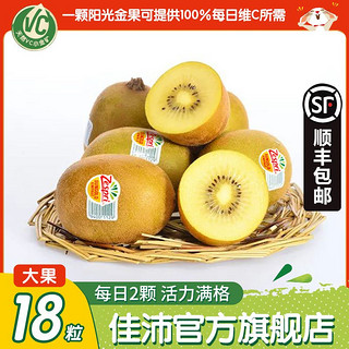 Zespri 佳沛 阳光金果 奇异果 单果124-134g 12个