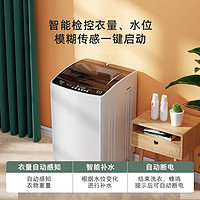 Jide 吉德 波轮洗衣机全自动10公斤大容量小型节能家用防缠绕