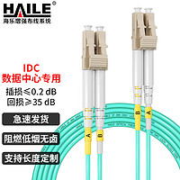 海乐（Haile）万兆多模光纤跳线LC-LC低烟无卤双芯跳纤OM3-300UPC接头50/125尾纤1米HJ-2LC-LC-MT1
