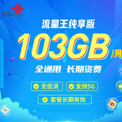 China unicom 中国联通 流量王纯享版 30元月租（103GB全国通用流量+100分钟语音通话）