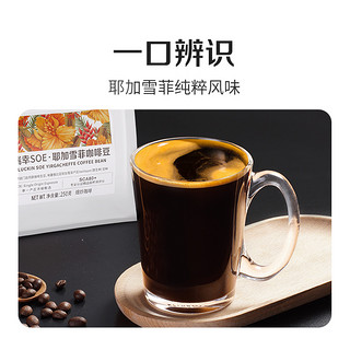 luckin coffee 瑞幸咖啡 埃塞俄比亚 水洗 深烘焙 SOE耶加雪菲 咖啡豆 250g