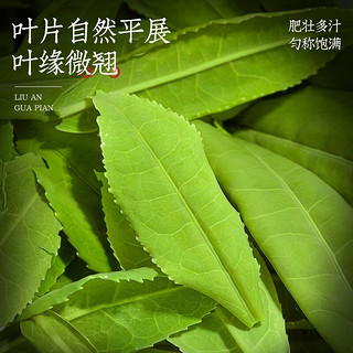 音朗绿茶 六安瓜片茶叶 新茶精选特级安徽原产地私家茶园木箱礼盒500g 木箱礼盒装500g