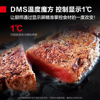 德玛仕（DEMASHI）大型烘焙烤箱商用 烤全鸡烤鸡翅披萨面包蛋糕地瓜大容量电烤箱两层四盘DKX-2D-4L（380V）