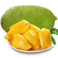 PLUS会员：龙觇   海南三亚黄肉菠萝蜜 25-29斤