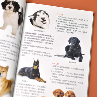 《名犬图鉴》