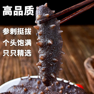 虾有虾途即食海参 即食生鲜蒸海参滋补500g刺参深海参单个装干货海鲜制品 精选1斤 4-6只