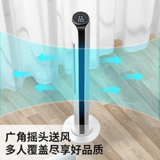 CHANGHONG 长虹 电风扇标准机械款塔扇（高70cm）