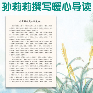 七只小青蛙 日本畅销百万册成长绘本 书目妈妈儿童早期阅读书籍 早教童书儿童文学磨铁图书正版书籍包邮