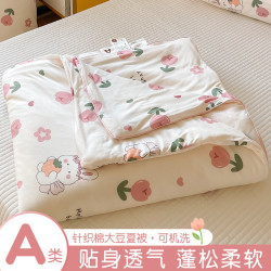 SHAYAJIAFANG 纱雅家纺 A类针织棉夏凉被夏天被子夏被单人学生薄款儿童夏季可机洗空调被2