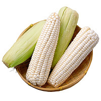 PLUS会员：静益乐源 白玉米 新鲜水果玉米 5斤装