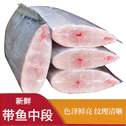 MPDQ 冷链运输带鱼中段500g/包【不包冰衣】