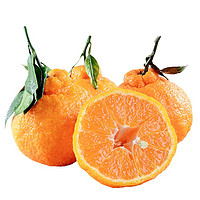 静益乐源四川不知火丑橘 丑柑 丑八怪 柑橘 新鲜水果 8斤中果果径65-70mm