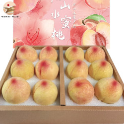阳山 无锡阳山  水蜜桃 单果4-5两*12个礼盒装*净重4.8斤多