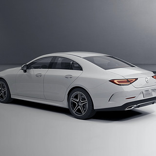 Mercedes-Benz 奔驰 CLS级 23款 改款 CLS 300 动感型