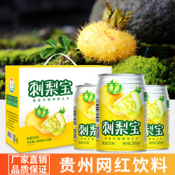 羿宫坊 刺梨宝248ml*12罐（电商包装）不含礼盒