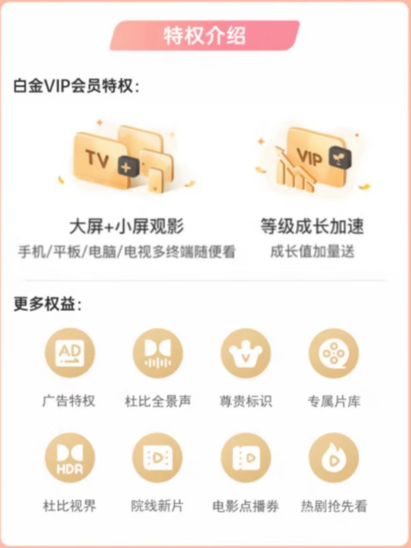 iQIYI 爱奇艺 白金VIP会员12个月 年卡