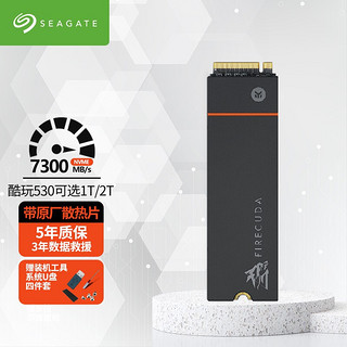 SEAGATE 希捷 M.2固态硬盘高速PCIe4.0x4游戏ssd固态530NVMe酷玩520 酷玩530-2T(带原厂散热片）