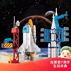 东东兄弟 颗粒积木 航天飞船+航天火箭 礼盒装 共237PCS