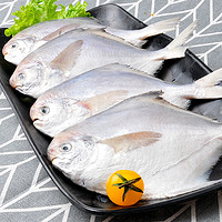 寰球渔市 生鲜白鲳鱼400g*1袋4-5条冷冻海鲜海捕鱼鲜嫩美味