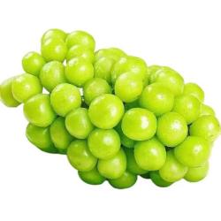 41元】栩季新鲜水果_栩季 新鲜无籽香印提子 阳光玫瑰 净重1斤单果6