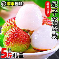 甘福园 海南妃子笑荔枝 单果约18-20g 5斤